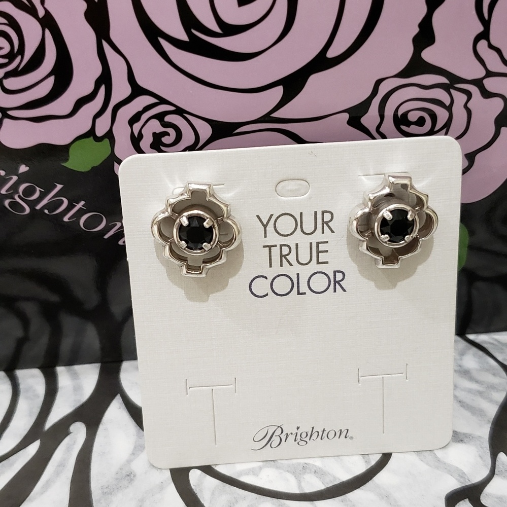 ☀️🛍Sale🌞🤩Brighton YTC collection Earrings